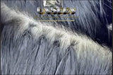 H-Tips Feather UnSeen Hair Extensions
